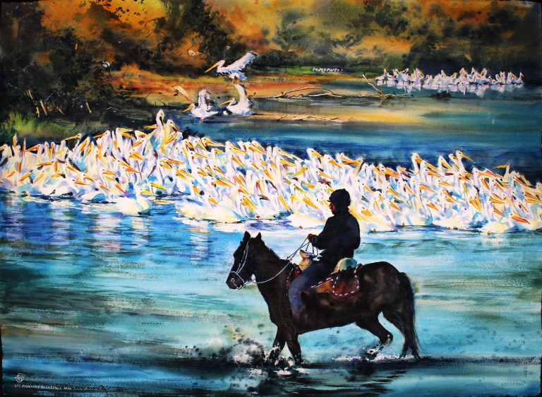 LOS PELICANOS DE CHAPALA