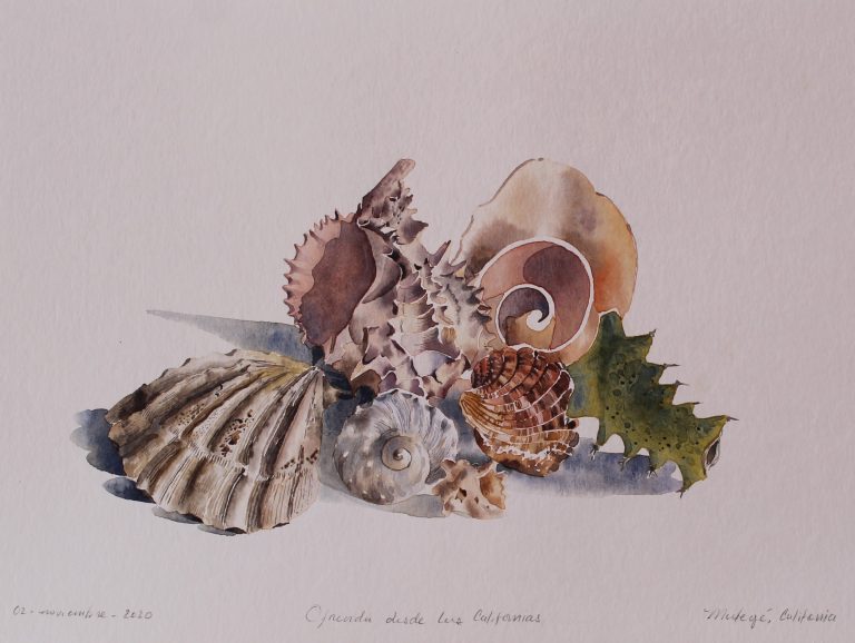 OFRENDAS DESDE LAS CALIFORNIAS